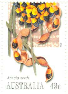 Acacia coriacea featured in a Bush Tucker stamp series