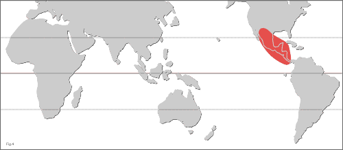 Map of the distribution of Genus x (A. coulteri group)