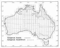 Isoflor map of Acacia subgenus Acacia and Acacia subgenus Aculeiferum in Australia