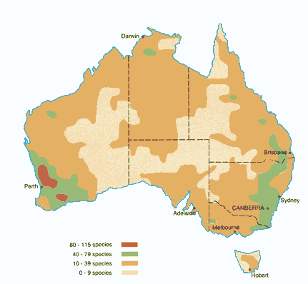 Isoflor map of genus Acacia