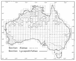 Isoflor map of Acacia section Alatae and section Lycopodiifoliae in Australia