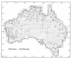Isoflor map of Acacia section Juliflorae in Australia