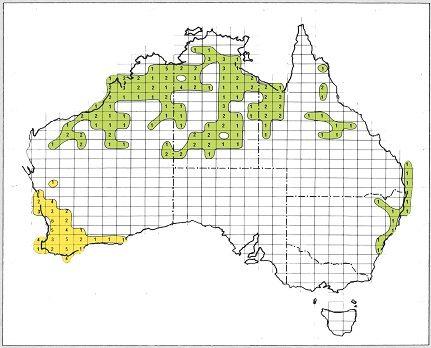 Isoflor map of Acacia section Alatae and section Lycopodiifoliae in Australia