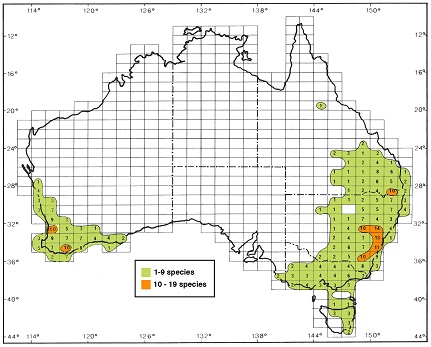 Isoflor map of section Pulchellae and section Botrycephalae in Australia