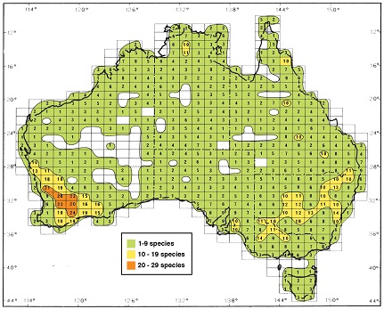 Isoflor map of Acacia section Plurinerves in Australia