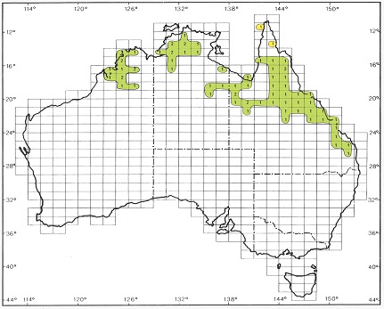 Isoflor map of Senegalia and Vachellia in Australia