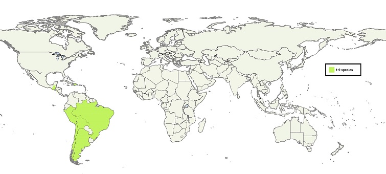 Map of the distribution of Parasenegalia