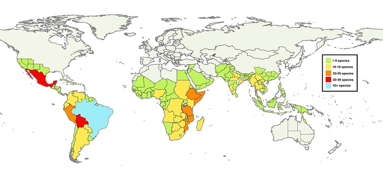 Map of the distribution of Senegalia